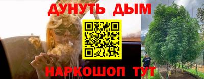 бошки Новокубанск