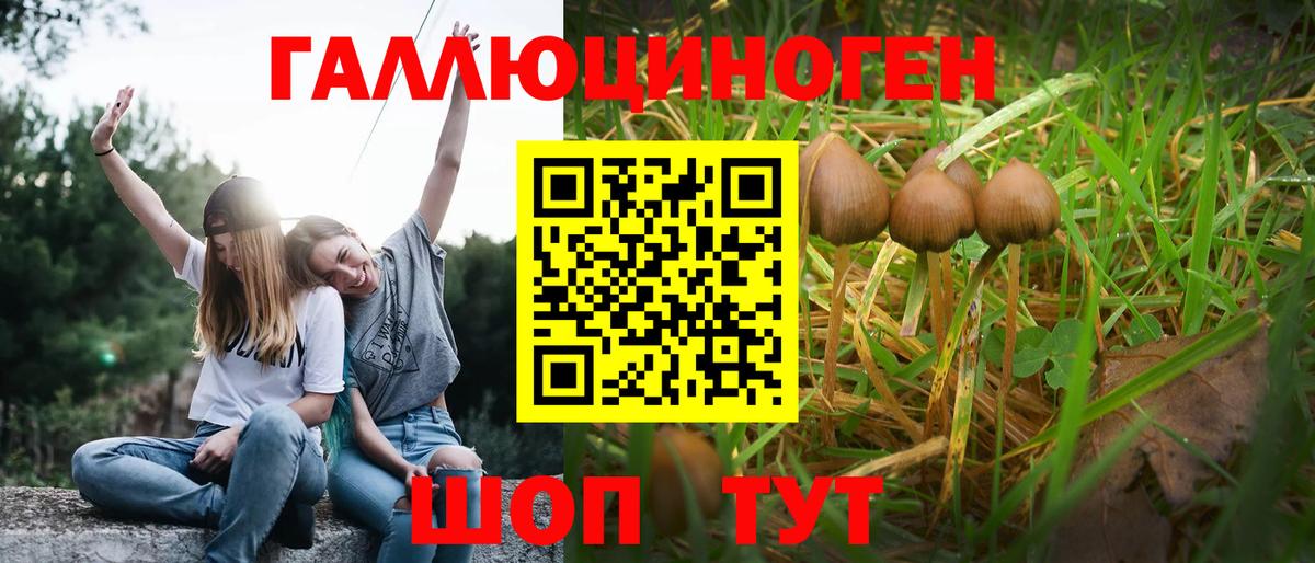 Галлюциногенные грибы мицелий Россошь
