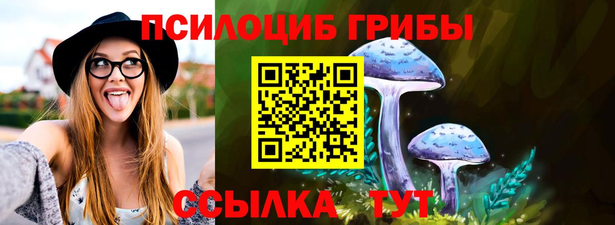 Галлюциногенные грибы мицелий  Псилоцибиновые грибы Psilocybine cubensis  Вход с VPN  Россошь 